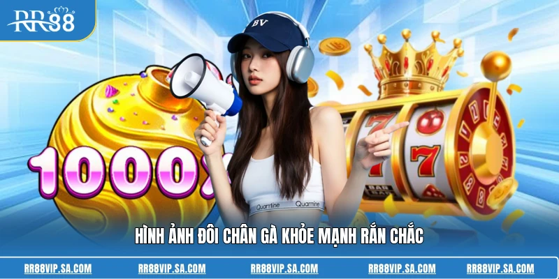 Hình ảnh đôi chân gà khỏe mạnh rắn chắc