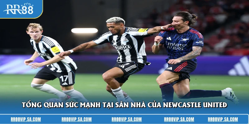 Tổng quan sức mạnh tại sân nhà của Newcastle United