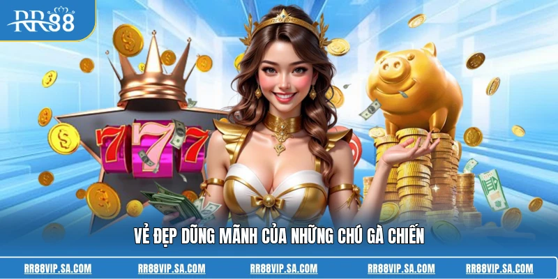 Vẻ đẹp dũng mãnh của những chú gà chiến